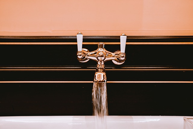 Elevate Your Kitchen: Energy-Efficient Appliances Meet Luxury Hardware