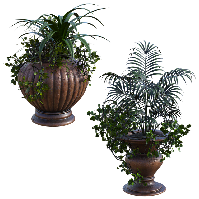 landscaping-640x480-10553854.png