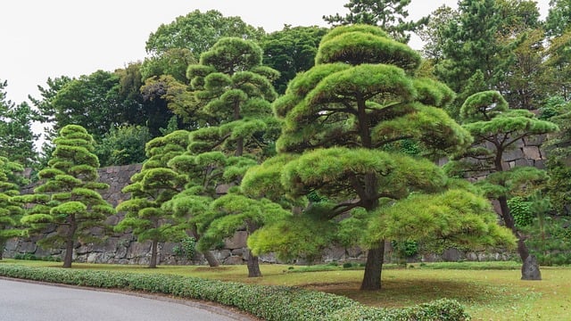 landscaping-640x480-10691618.jpeg