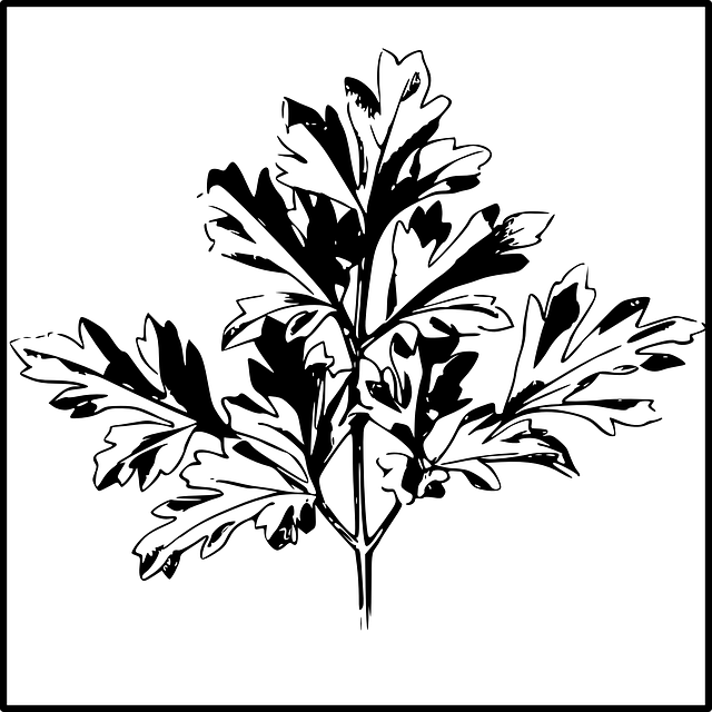 landscaping-640x480-38063254.png