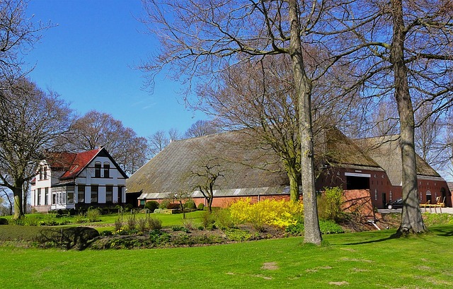landscaping-640x480-40474243.jpeg