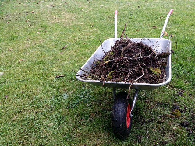 landscaping-640x480-66419475.jpeg
