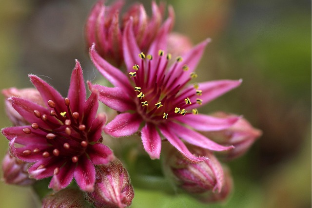 Transform Your Yard: Proven DIY Landscape Planning for Accessible, Beautiful Spaces