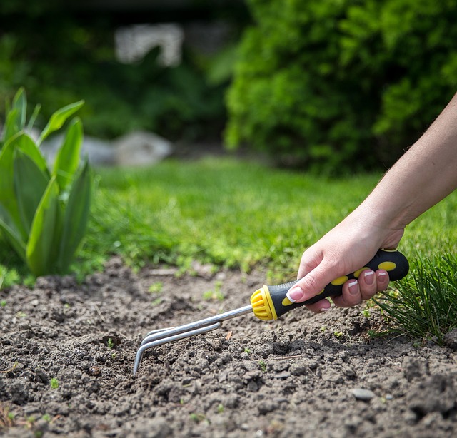 landscaping-backyard-garden-640x480-15303473.jpeg