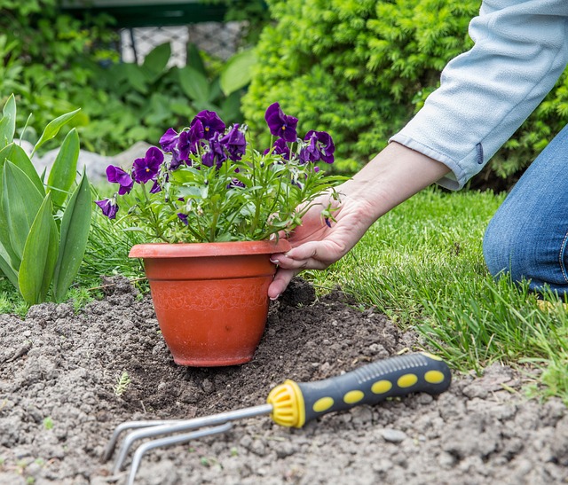 landscaping-backyard-garden-640x480-22524096.jpeg