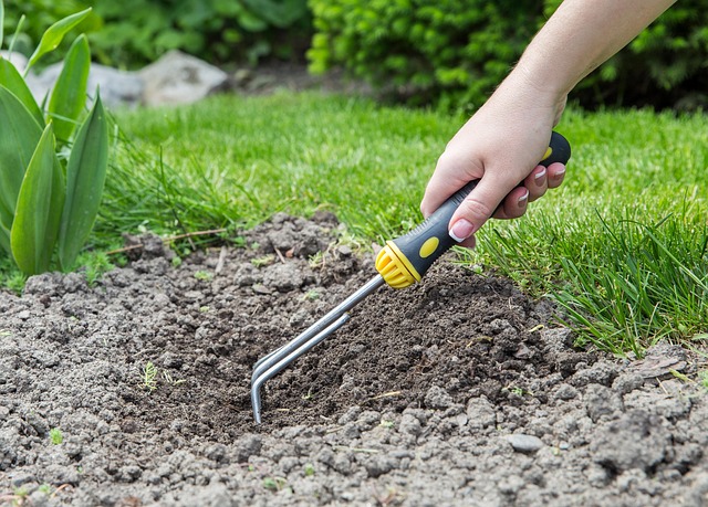 landscaping-backyard-garden-640x480-36460537.jpeg