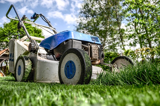 landscaping-backyard-garden-640x480-72993605.jpeg