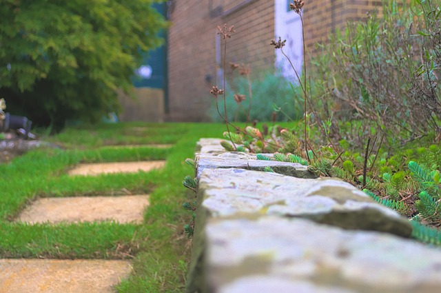landscaping-backyard-garden-640x480-8492802.jpeg