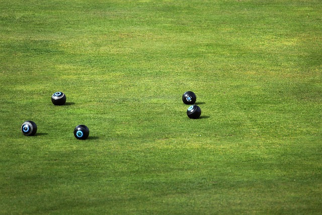lawn