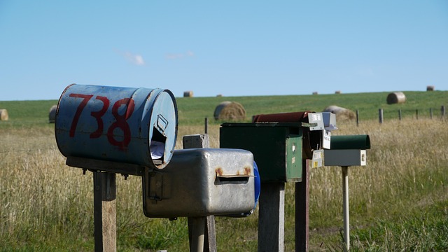 Elevate Your Mail Delivery: Unique Mailbox Designs for Every Home