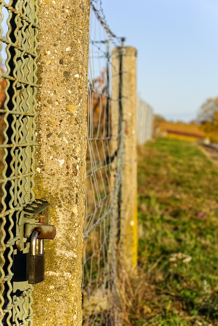 metal-door-metal-gate-640x480-53893106.jpeg