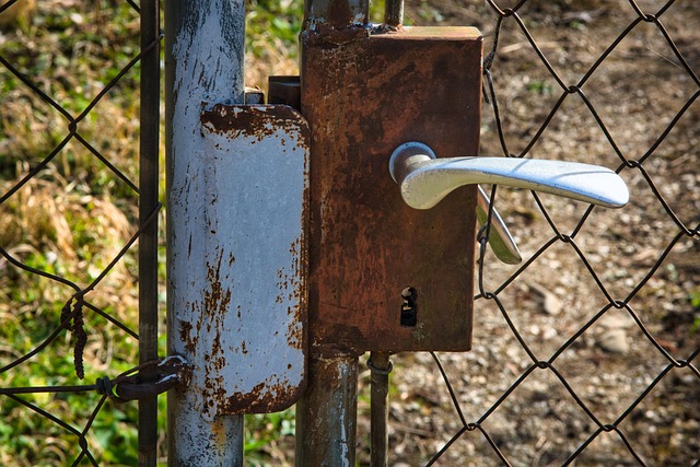 metal-door-metal-gate-640x480-61597876.jpeg