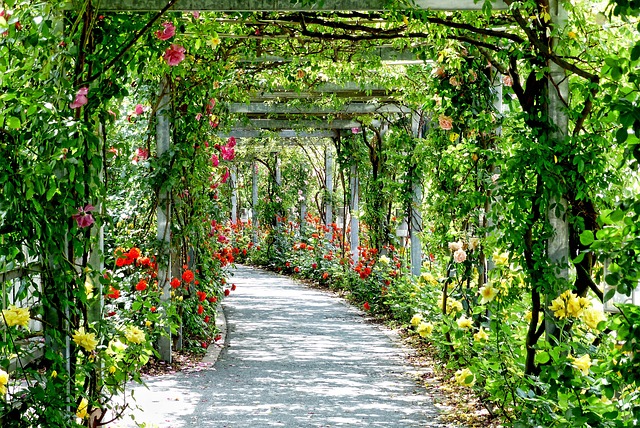 metal pergolas