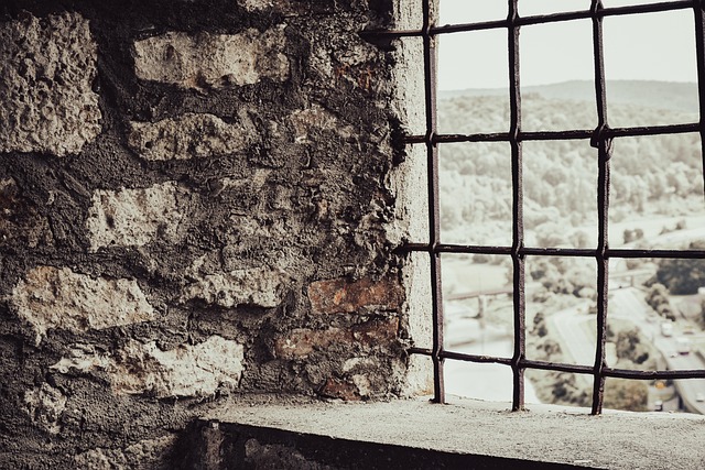 metal window
