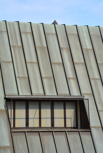 metal windows