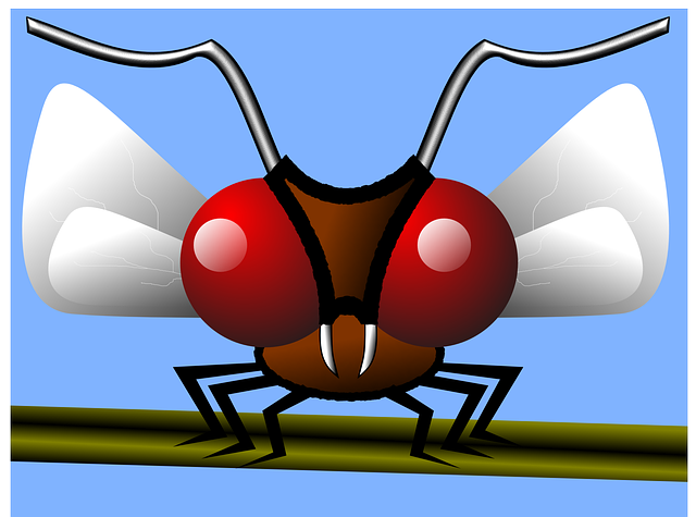 Sustainable Mosquito Management: Eco-Friendly Solutions for Effective Control
