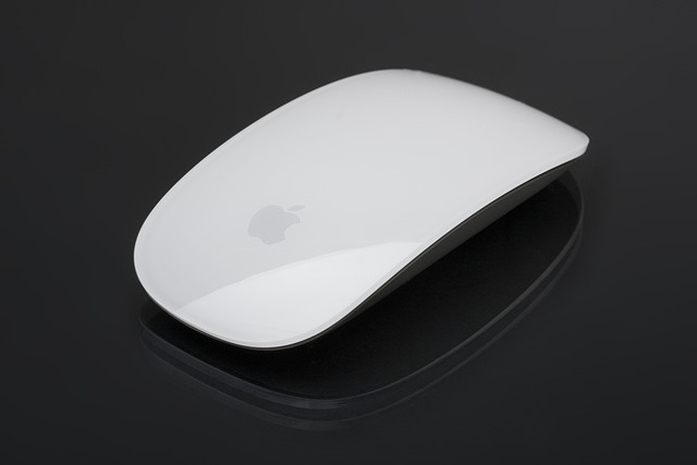 mouse-640x480-29830671.jpeg