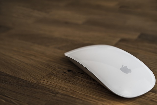mouse-640x480-69333219.jpeg