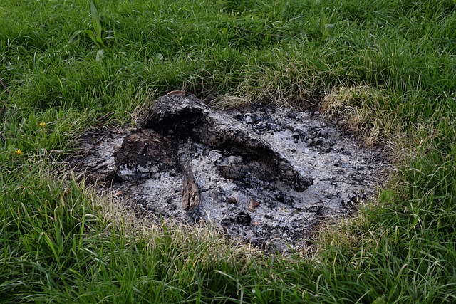outdoor fireplace