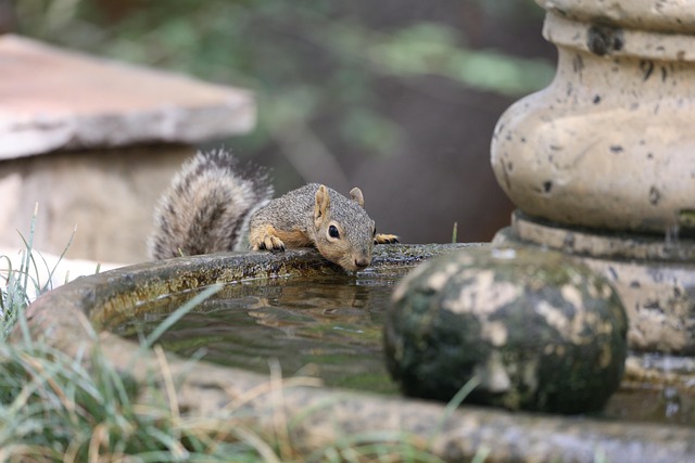 outdoor fountain