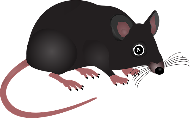 pest-640x480-35368238.png