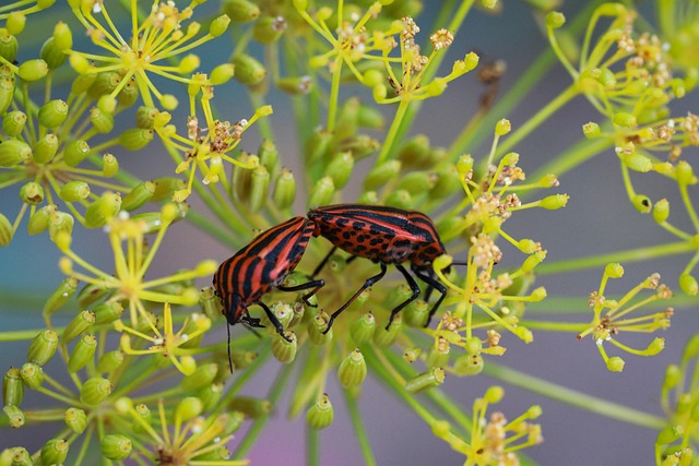 Advanced Bed Bug Eradication: Effective Pest Extermination Techniques for Restful Homes