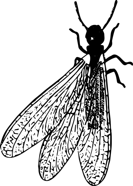 → hn/ > 4 (s/ v ( but no? (1/v/ w/ > 1: 17/ (2> & 5,  h/ w/ < (5/ di