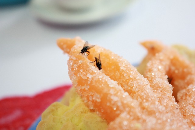 Eco-Friendly Pest Solutions: Comprehensive Inspections for a Healthy Home