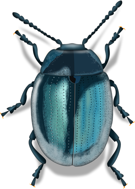 Safe Pest Control: Child- and Pet-Friendly Prevention Techniques
