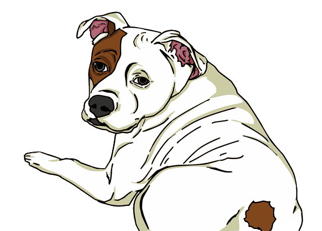 In-Home Pet Care: A Comprehensive Guide to Sitting and Walking Services
