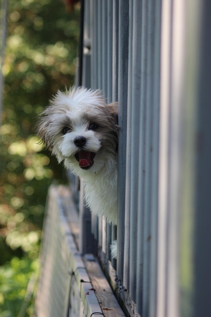 railing-640x480-8070055.jpeg