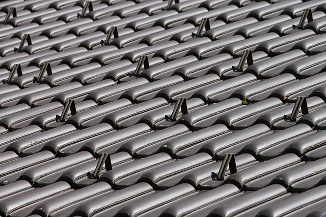 roof-640x480-14734915.jpeg