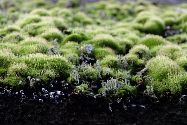 Protect Your Roof: Ultimate Guide to Weather-Resistant Coatings & Seasonal Maintenance
