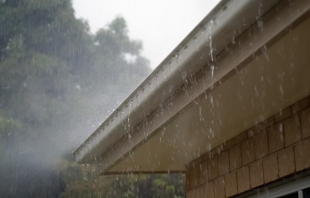 roof-640x480-29719050.jpeg