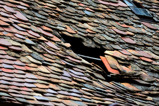 Expert Installation: Unlocking Eco-Friendly Luxury Roofing’s Potential