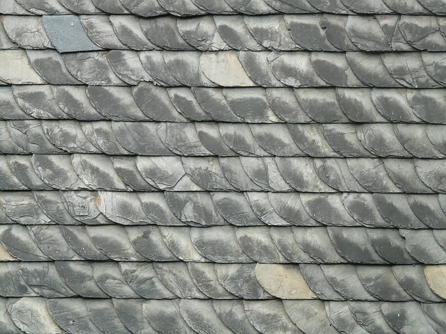 roof-640x480-62949545.jpeg