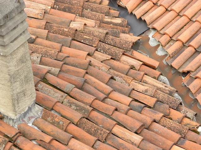 Prolong Gutter Life: Expert Care, Repair, & Maintenance Tips