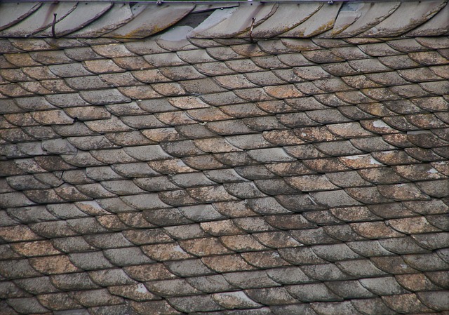 roof-640x480-83849358.jpeg