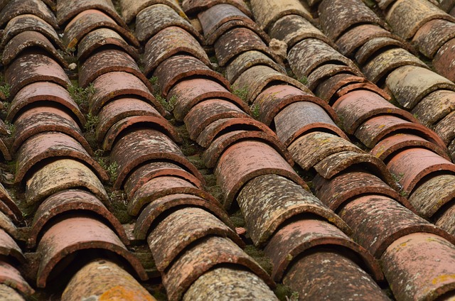 roof-640x480-86506208.jpeg