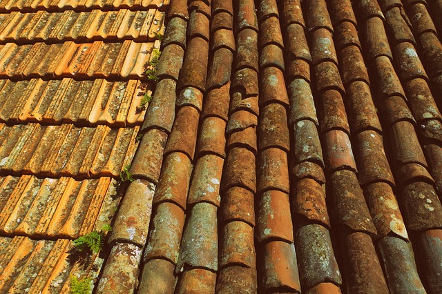 roof-roofing-house-roof-640x480-38679055.jpeg