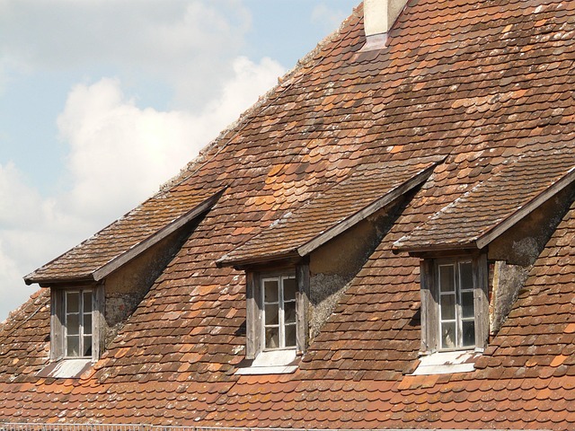 Sustainable Roofing Solutions: Eco-Friendly Options for Longevity & Efficiency