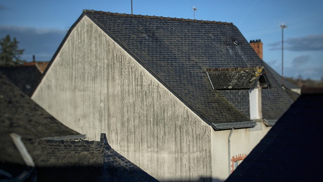roof-roofing-house-roof-flat-roof-640x480-76837354.jpeg