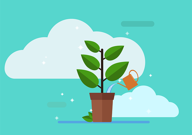 routine-plant-watering-and-pruning-640x480-19840255.png