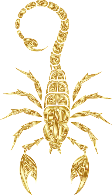 scorpion-640x480-54780665.png