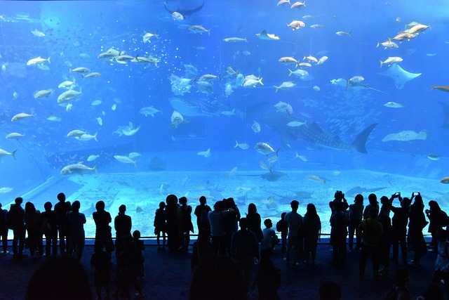 Immersive Panoramic Tanks: Durable Materials for Fishkeeping Enthusiasts