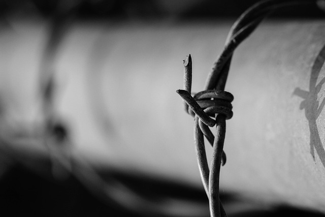 Strengthening Security: Specialized Protocols & Personal Escort Solutions for High-Risk Regions