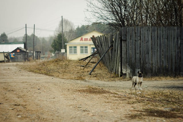 security-guard-640x480-68406355.jpeg