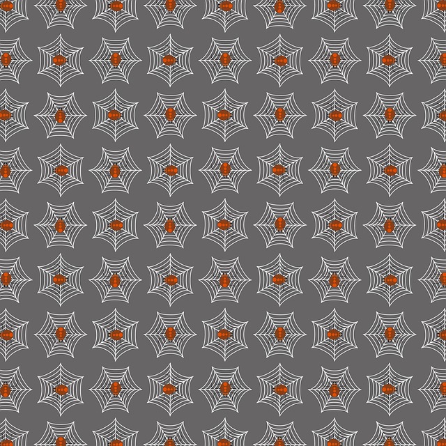 spider-spider-web-640x480-1267886.jpeg