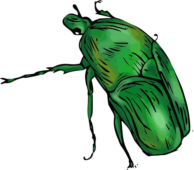 stinging-pest-pest-640x480-45014917.png