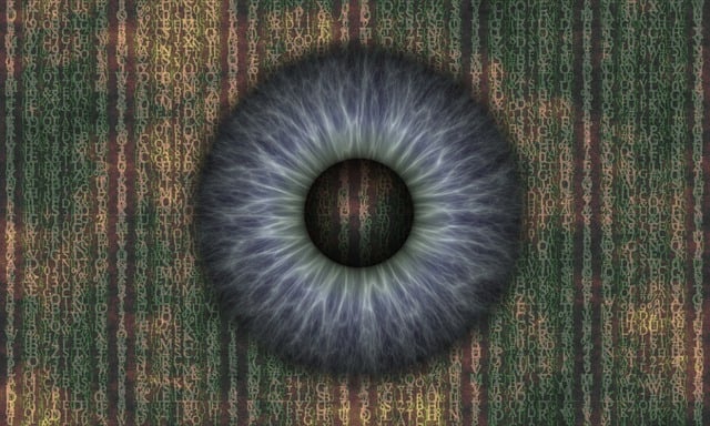 surveillance